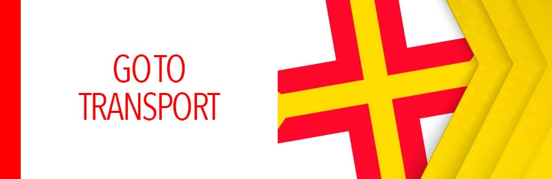 GotoTransport.jpg